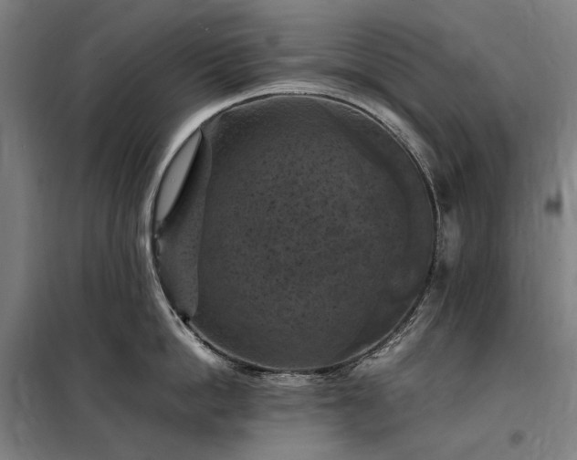 X0000098000862200804021030
