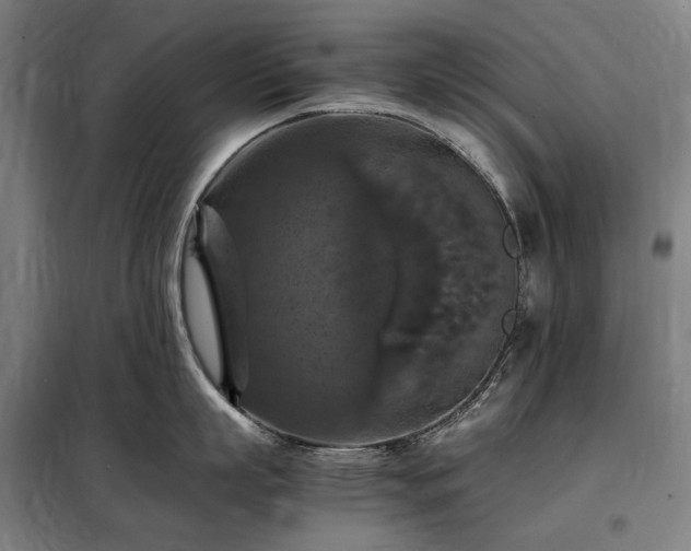 X0000098000863200804021030