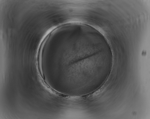 X0000098000864200804021030