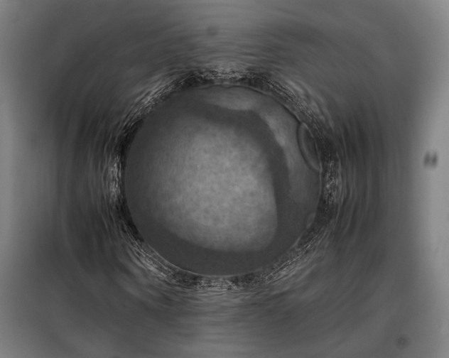 X0000098000866200804021029