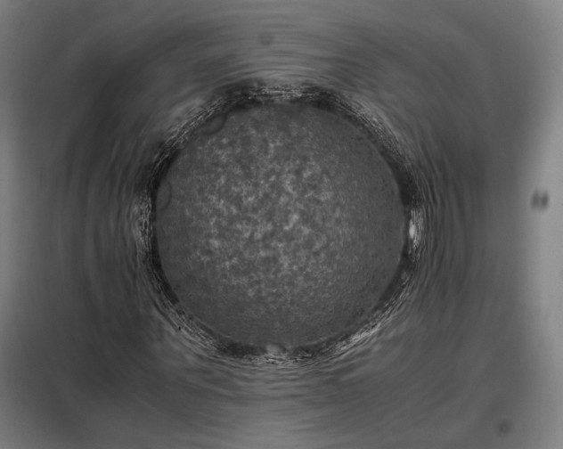 X0000098000867200804021029