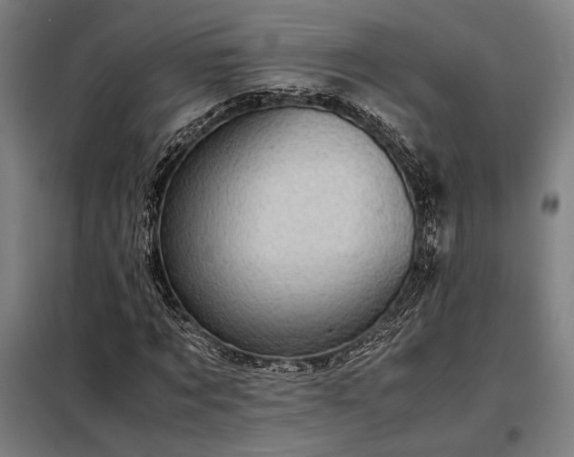 X0000098000869200804021029