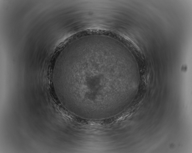 X0000098000870200804021029