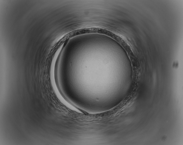 X0000098000871200804021029