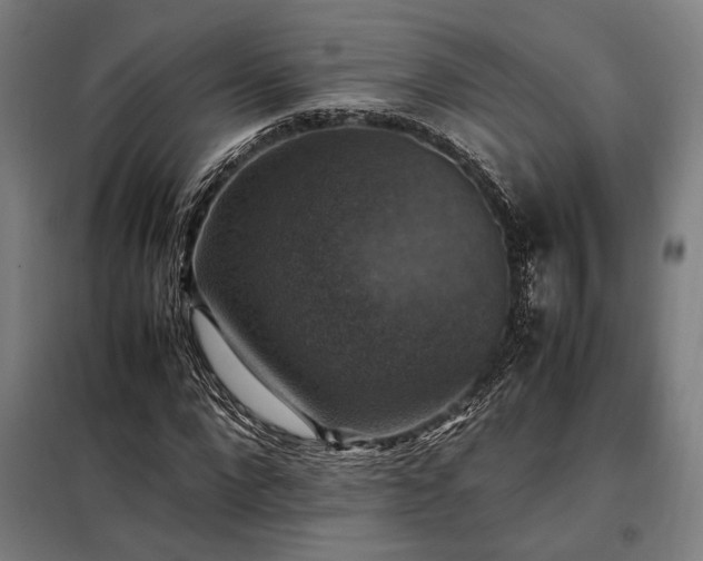 X0000098000872200804021029