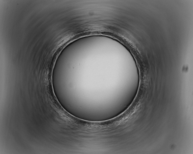 X0000098000873200804021029