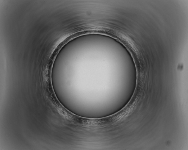 X0000098000875200804021029