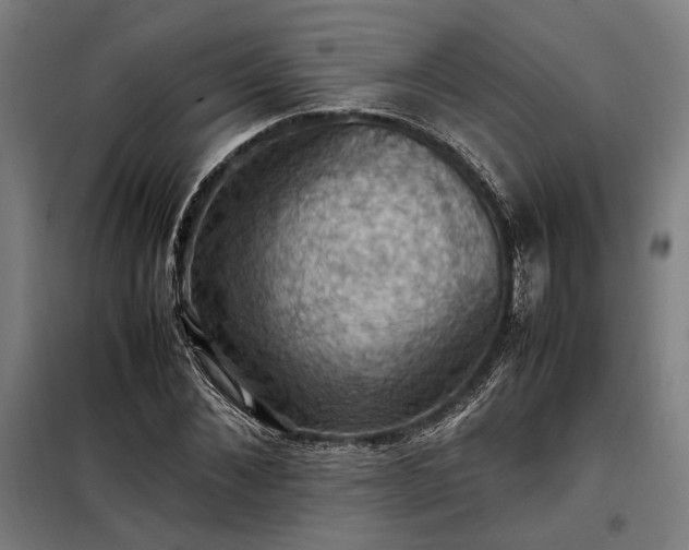 X0000098000876200804021029