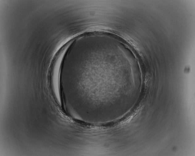 X0000098000877200804021029