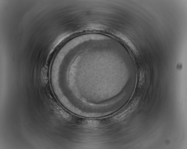 X0000098000878200804021029