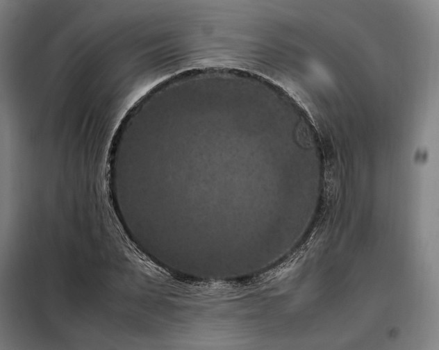 X0000098000879200804021029