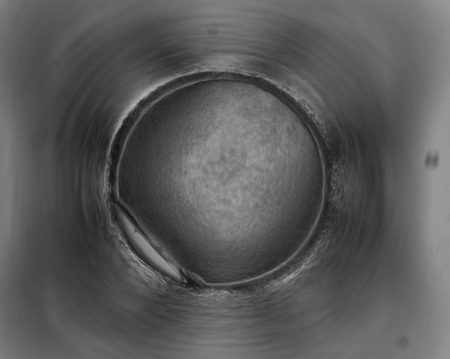 X0000098000880200804021029
