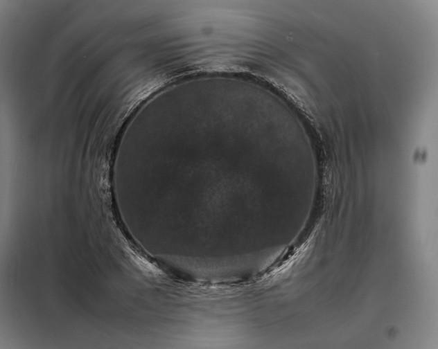 X0000098000881200804021029