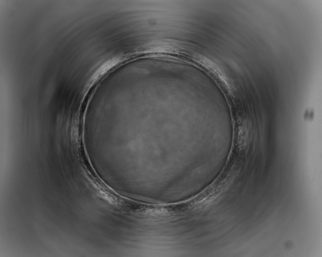 X0000098000882200804021029