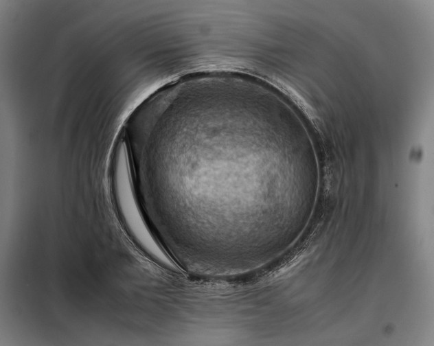 X0000098000885200804021029