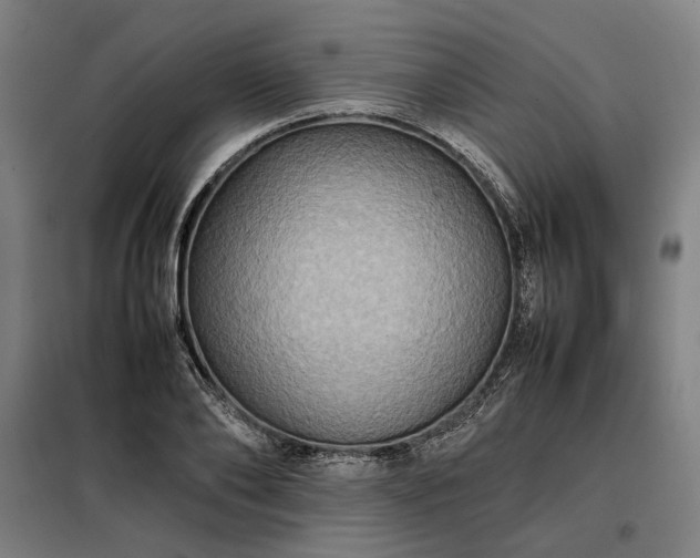 X0000098000886200804021029