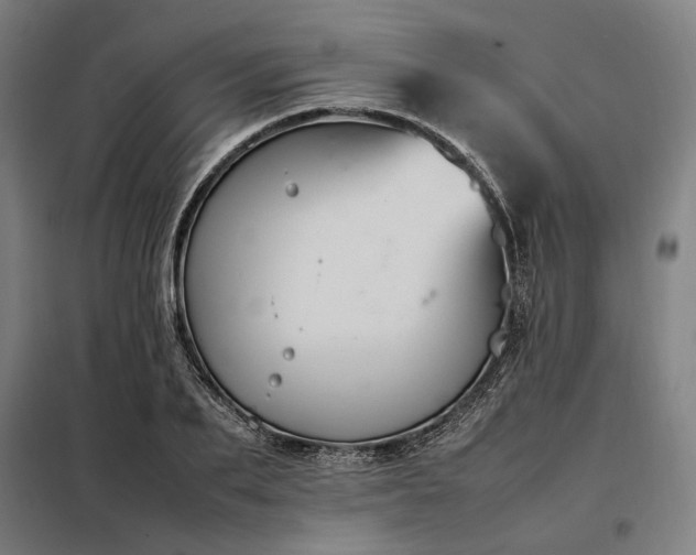 X0000098000887200804021029