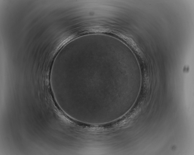 X0000098000889200804021029