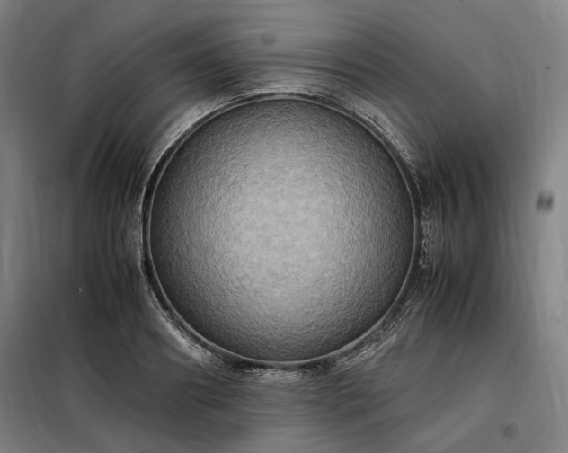 X0000098000890200804021029