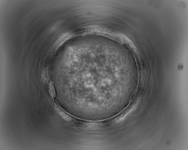 X0000098000897200804021029
