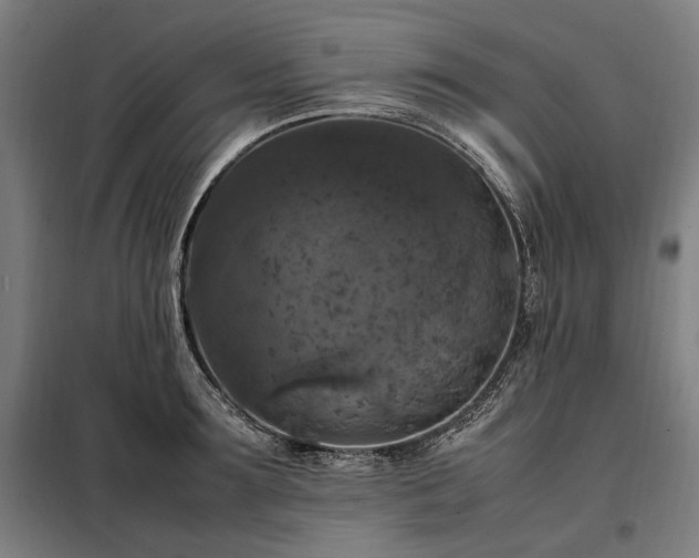 X0000098000899200804021029