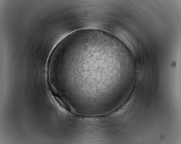 X0000098000900200804021029