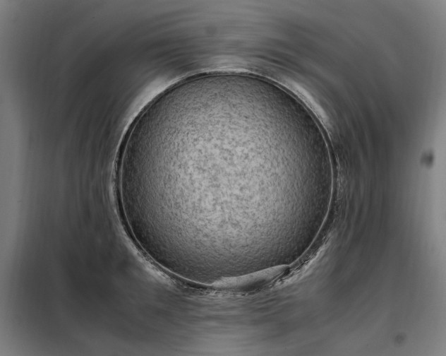 X0000098000901200804021029