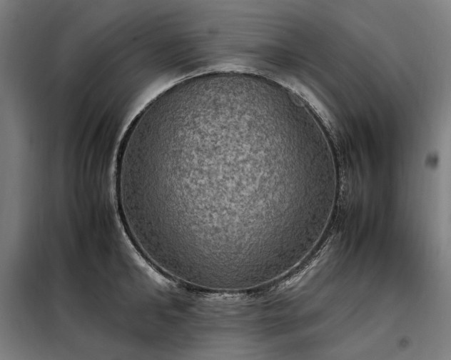 X0000098000902200804021029