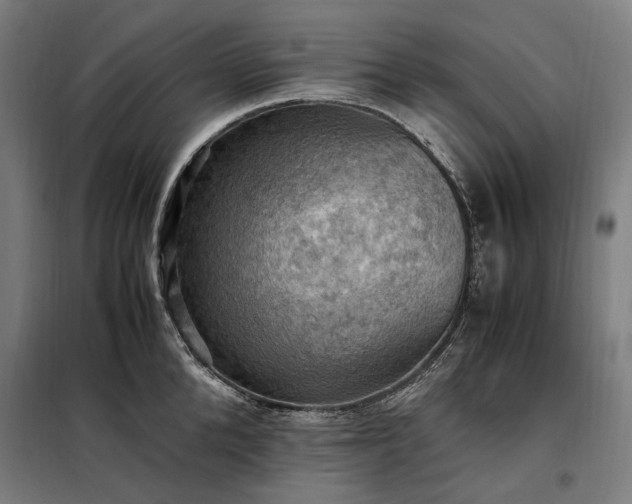 X0000098000904200804021029