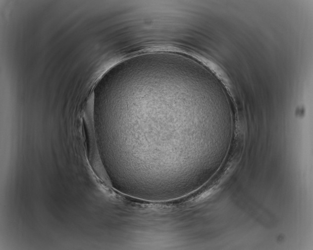 X0000098000905200804021029