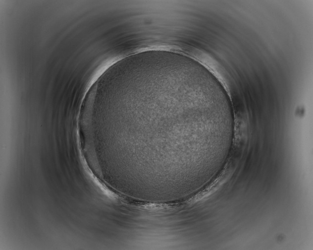 X0000098000906200804021028