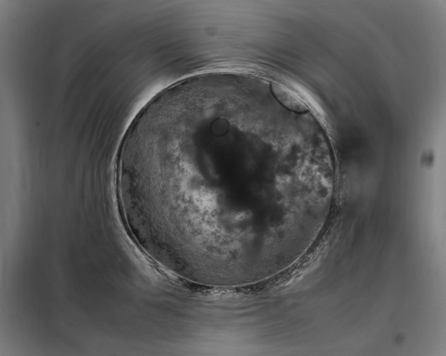 X0000098000907200804021028