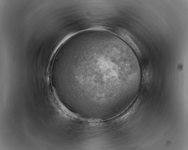 X0000098000908200804021028