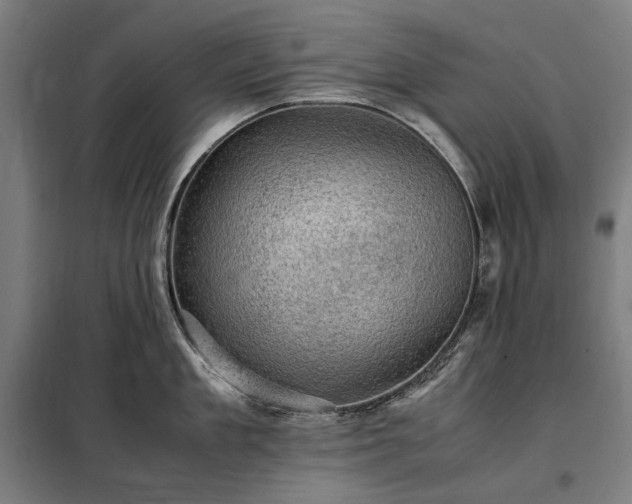 X0000098000909200804021028