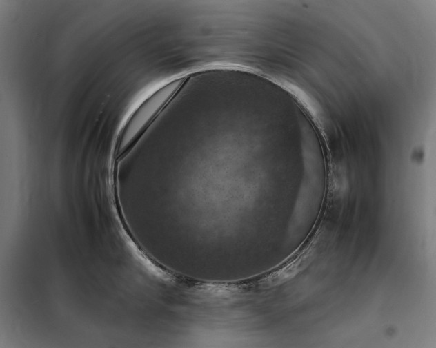 X0000098000910200804021028