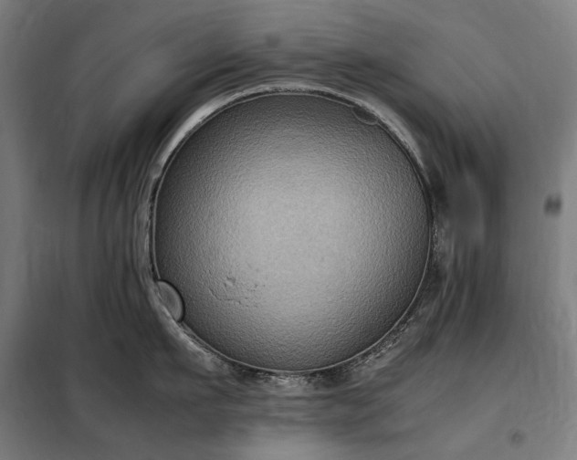 X0000098000911200804021028