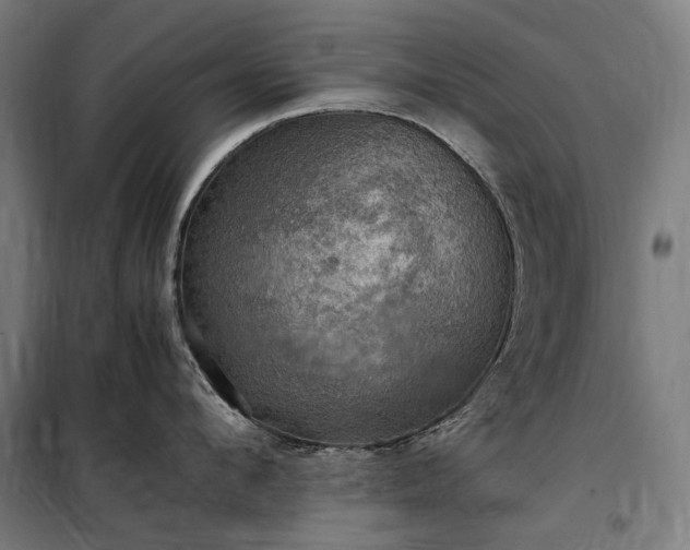 X0000098000912200804021028