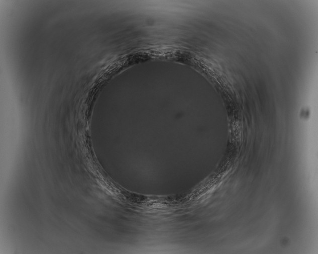 X0000098000913200804021028