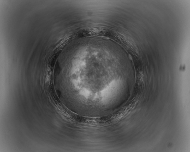 X0000098000914200804021028