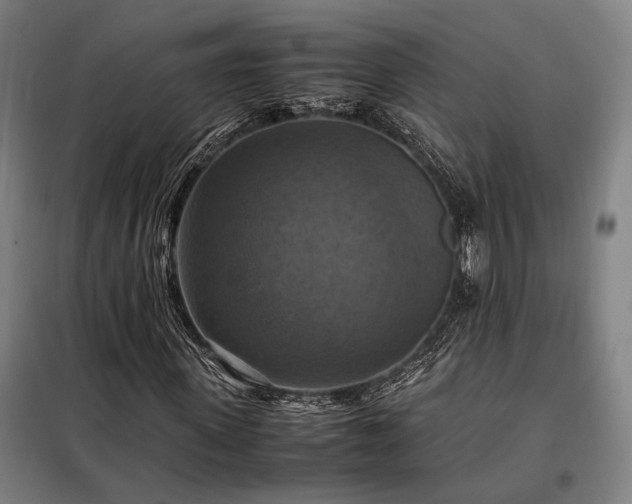 X0000098000915200804021028