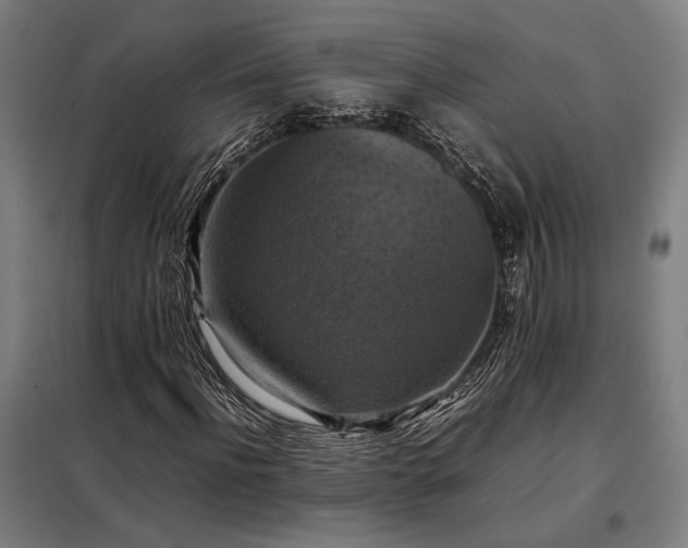 X0000098000916200804021028