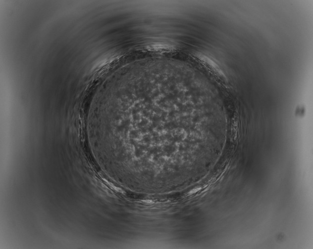 X0000098000917200804021028