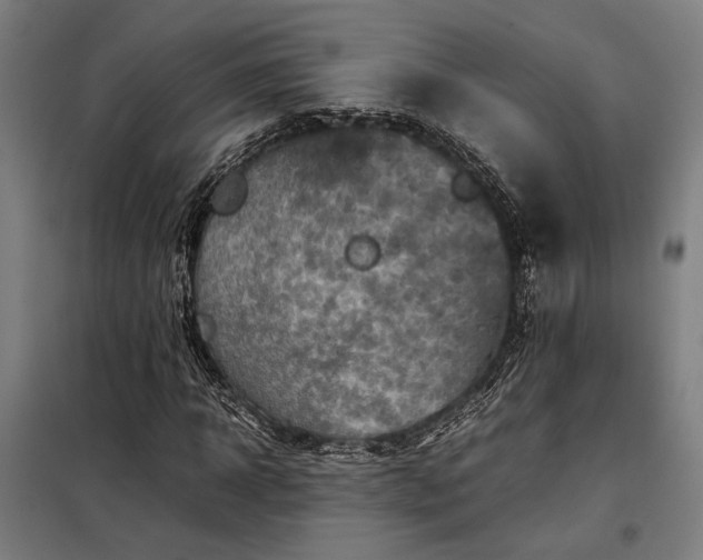 X0000098000918200804021028