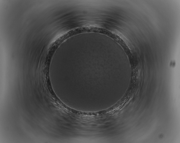 X0000098000919200804021028