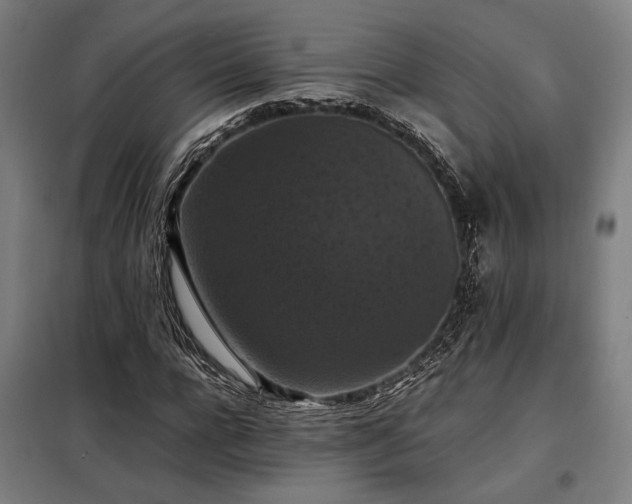 X0000098000920200804021028