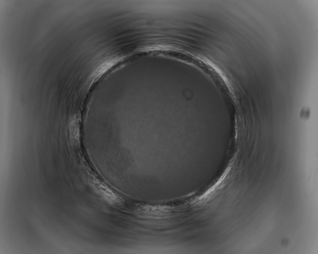X0000098000921200804021028