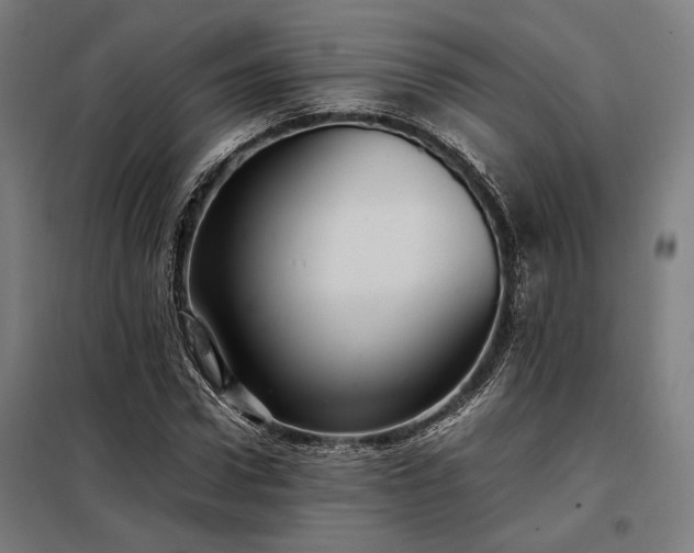 X0000098000922200804021028