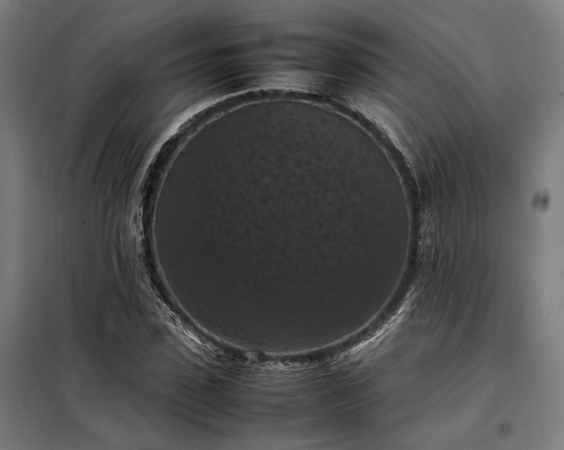 X0000098000923200804021028