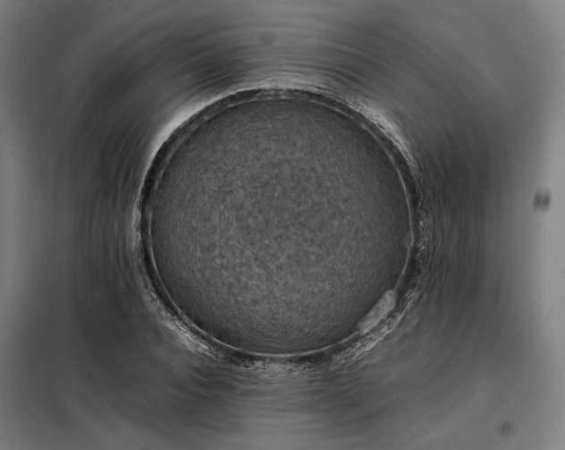X0000098000928200804021028