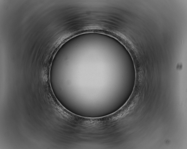 X0000098000929200804021028